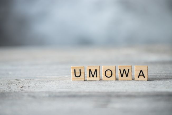 Umowa Zlecenie Dla Nauczyciela W Szkole Publicznej 2018