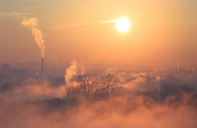 Alarm smogowy! Co powinien zrobić dyrektor przedszkola