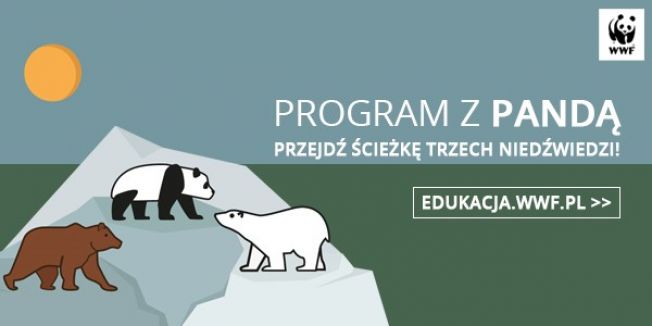 PROGRAM Z PANDĄ, czyli edukacja szyta na miarę