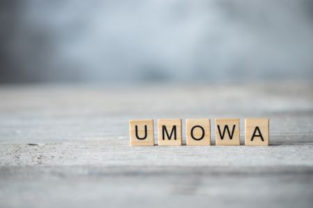 umowa zlecenie w szkole niepublicznej