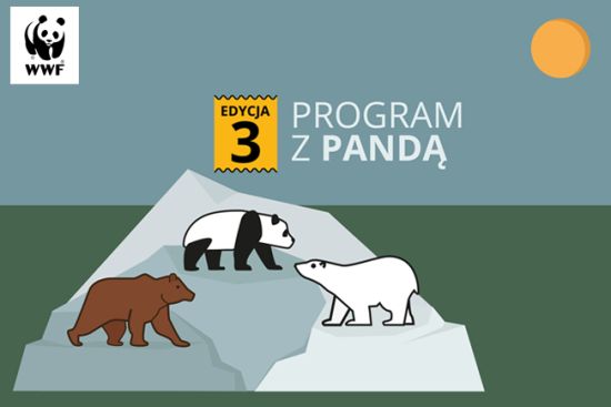 Nowy rok szkolny z edukacyjnym Programem z Pandą!