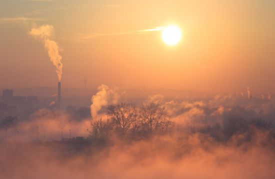 alarm smogowy działania dyrektora przedszkola